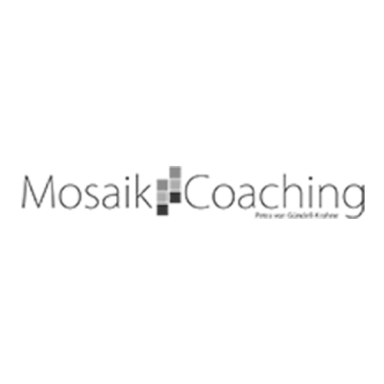 Mosaik Coaching